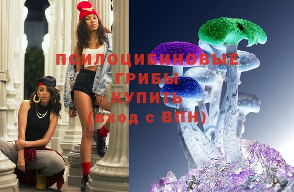ПСИЛОЦИБИНОВЫЕ ГРИБЫ Володарск