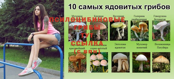 ПСИЛОЦИБИНОВЫЕ ГРИБЫ Володарск