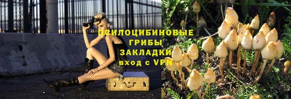 ПСИЛОЦИБИНОВЫЕ ГРИБЫ Володарск